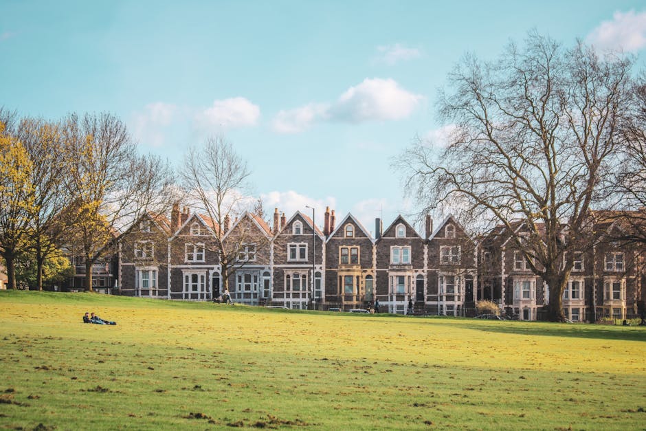 A wide view of a grassy park area with a gentle slope, where two children are lying on the ground playing. In the background, a row of traditional Victorian-style terraced houses with stone facades and bay windows is visible, situated directly behind the park. The houses feature a variety of muted color tones, including shades of brown, beige, and grey, with chimneys and pitched roofs. To the right, a large, leafless tree with an intricate network of branches extends upward, contrasting with partly cloudy blue sky above. Several other trees with early spring foliage are scattered around the edge of the park, some displaying fresh green leaves. The scene is illuminated by natural daylight, creating soft shadows on the grass and highlighting the textures of the buildings and trees. The environment appears calm and residential, typical of an area with private houses and public open space, aligning with services such as independent rubbish clearance for local homeowners and community areas, as provided by Rubbish Clearance Clapham.